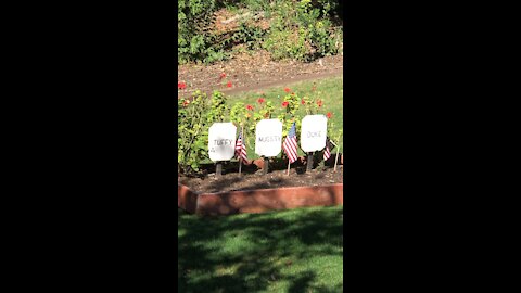 Dogs Buried At Benicia Military Cemetery