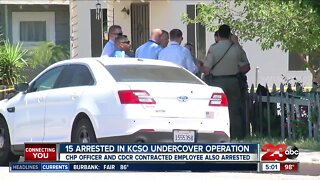 15 arrested in KCSO undercover operation targeting child predators