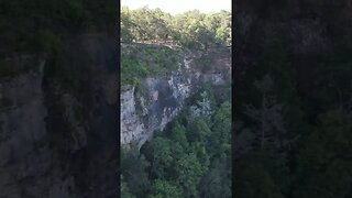 View of Cloudland Canyon from above!