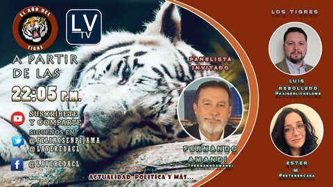 "El Año del Tigre" Ep. 14 Actualidad, Contingencia e Irreverencia Salvaje. / con Fernando Amandi Sr.