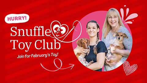 LAST DAY for February Snuffle Toy Club Sign Up