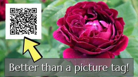 Backyard Nursery: QR Codes for Product Info