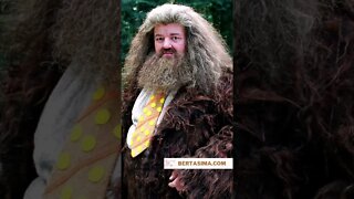 Celebrating the life of Robbie Coltrane “Hagrid”. RIP 🖤 #hagrid #harrypotter #robbiecoltrane