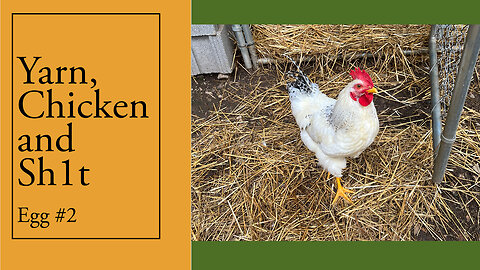 Yarn, Chicken and Sh1t Egg No. 2