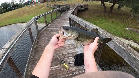 Was Tossing Out Lures When I CAUGHT THIS!!