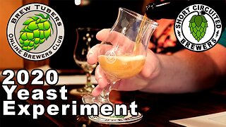 Brewtubers 2020 Yeast Experiment video 4