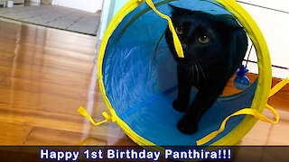 Panthiras 1st Birthday Present