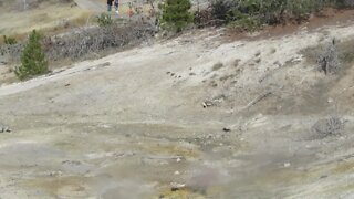 Geyser in the Norris Geyser Basin