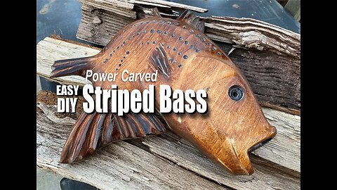 How to make a power carved wood Striped Bass sculpture