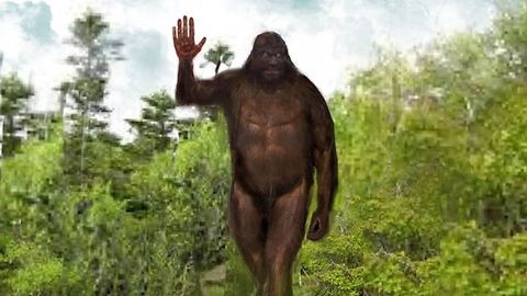 "Mr. Howdy"- The Waving Bigfoot Encounters