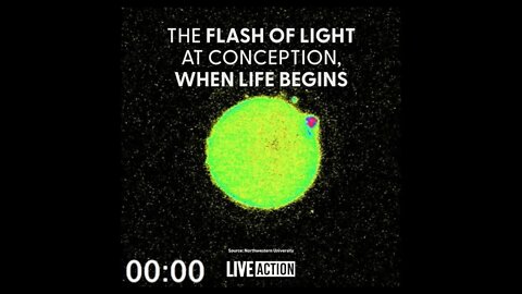 The flash of light when a child's life starts!