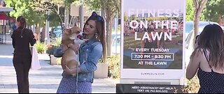 Dogs of Downtown Summerlin