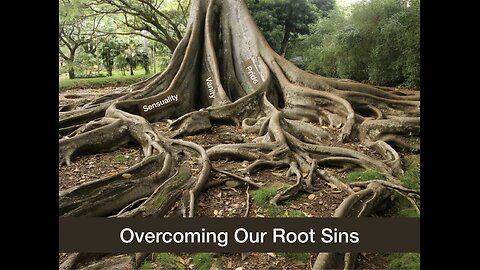 Holier, Happier, Healthier New Year Identifying & Rooting Out Our Principal Sins VI