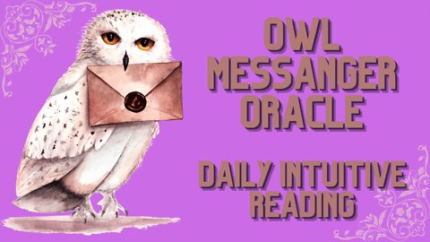 Owl Messenger Oracle ~ Daily Intuitive Reading ~ Self Interpretation