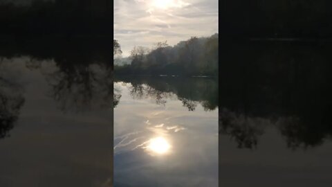 Piney Z Lake in Tallahassee Sunrise Time Lapse #shorts