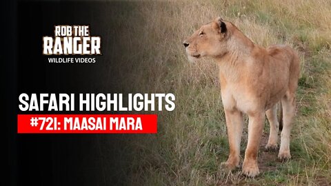 Safari Highlights #721: 06 September 2022 | Lalashe Maasai Mara | Latest Wildlife Sightings