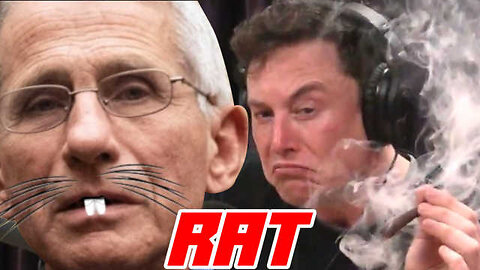 Lefty Guinea Pigs Upset that Elon Continues To Call Fauci a Murderer On X