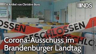 Corona-Ausschuss im Brandenburger Landtag | Christine Born | NDS-Podcast