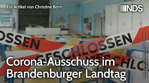 Corona-Ausschuss im Brandenburger Landtag | Christine Born | NDS-Podcast