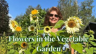 Flowers for Vegetable Garden // Gardening at the Simongetti North