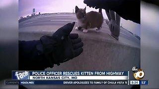 Police officer rescues kitten from Missouri freeway