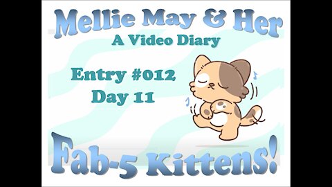 Video Diary Entry 012: Eyes Starting to Open! Day 11