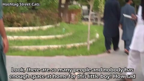 Abandoned kitten stops people to get attention but they're busy in their activities.