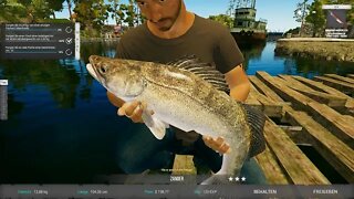 Ultimate Fishing Sim 2 Folge 10 Kiel und neue Ausrüstung