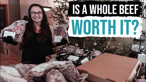 Is Buying a WHOLE Beef Worth It?!?! | What You Get + How to Organize a Whole Beef
