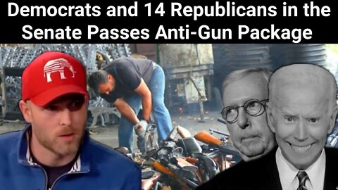 Vincent James || Democrats and 14 Republicans in the Senate Passes Anti-Gun Package