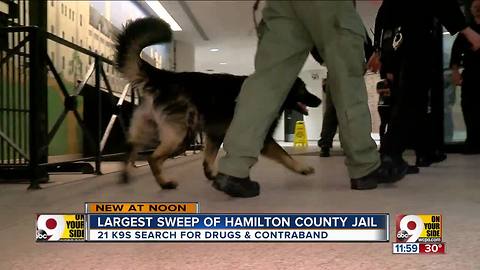 No contraband found in K-9 sweep of county jail