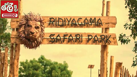 Ridigama Safari Park - Wele Suda