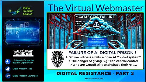 The Virtual Webmaster - Digital Resistance Part 3