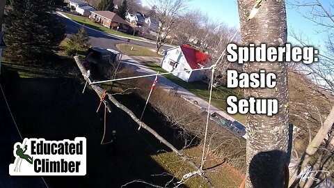 Spider Leg: Basic Setup | Arborist Rigging