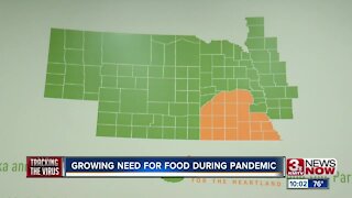 Growing need for food during pandemic