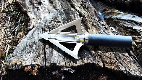 Cobra Archery Barbarian Fixed Blade Broadhead Review