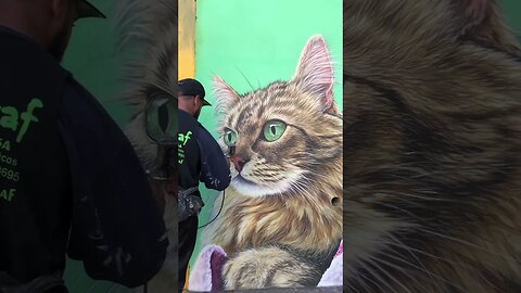 MAD REALISTIC CAT STREET ART PIECE 😳 #streetart #streetartist #shorts
