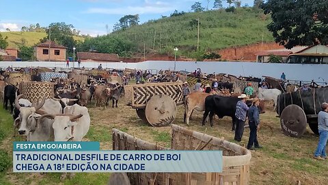 Festa em Goiabeira: Tradicional Desfile de Carro de Boi Chega a 18ª Edição na Cidade.