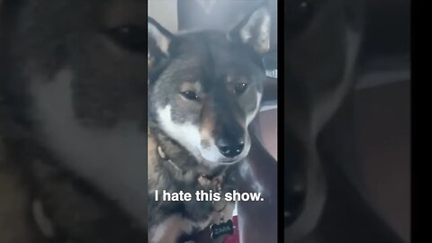 Zara continues hating the show.