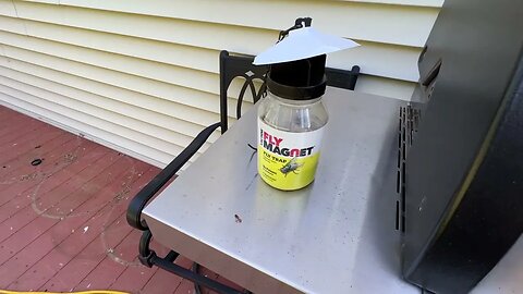 Victor Fly Magnet Fly Trap - Works amazing!