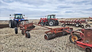 Plowing Complete - New Holland TG285, International 700 Plow