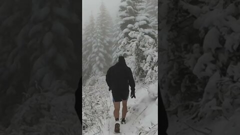 Snow Hiking with a Beagle #shorts