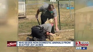 NHS seizes non-domestic animals from Scatter Joy Acres