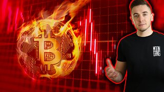 The Bitcoin Bounce & More NFT/Metaverse News