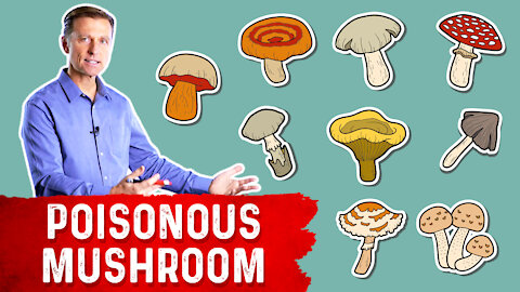 The Most Deadly Mushroom and it's Antidote