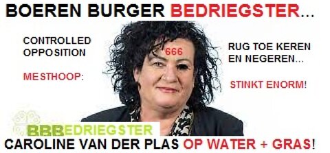 2022-07-29 BOEREN BURGER BEDRIEGSTER CAROLINE VAN DER PLAS Totaal