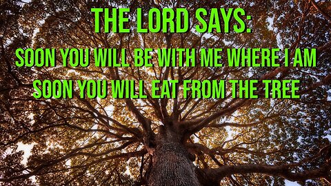 The Lord Says: Soon You Will See My Face! Soon You Will Eat From the Tree! Prophetic Word