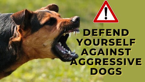 Self defense against dog attack. Must watch.