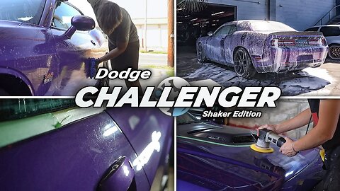 Shaker Edition Dodge Challenger | Restoring a 1 of 299 Plum Crazy Purple | What a Color!