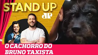 JOSÉ CIRILO, O CACHORRO DO TAXISTA